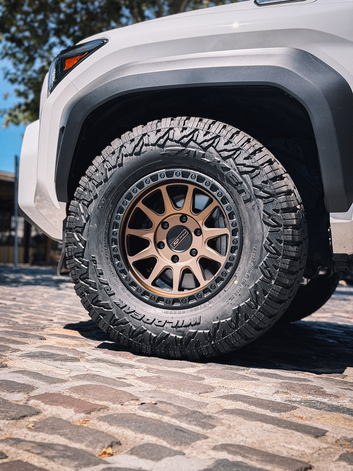 AGP 304 wheel in bronze with a black ring